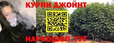 гидропоника Камышлов