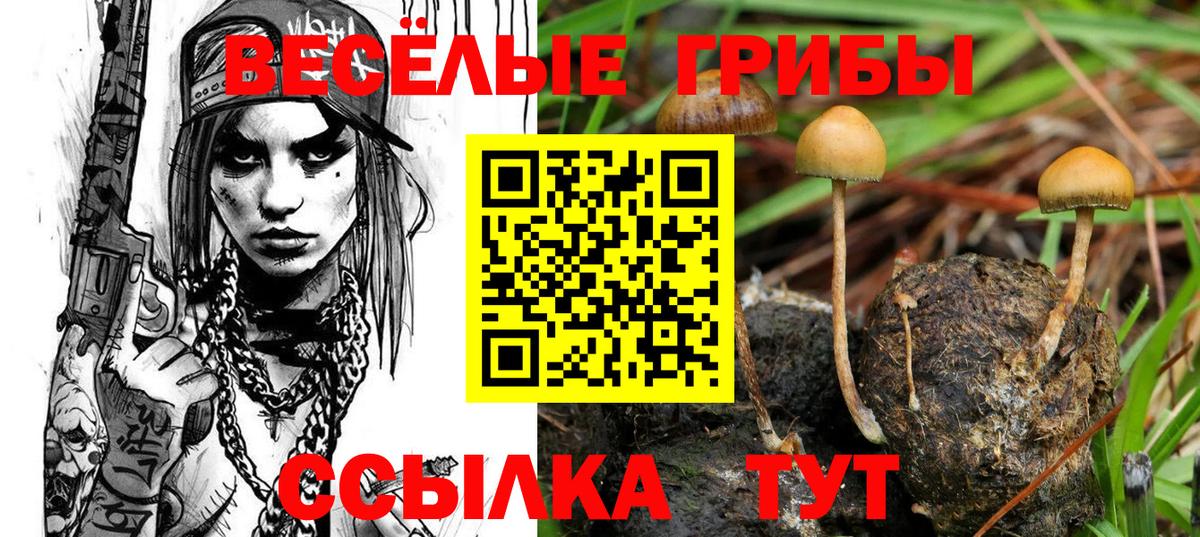 Псилоцибиновые грибы мухоморы Мирный