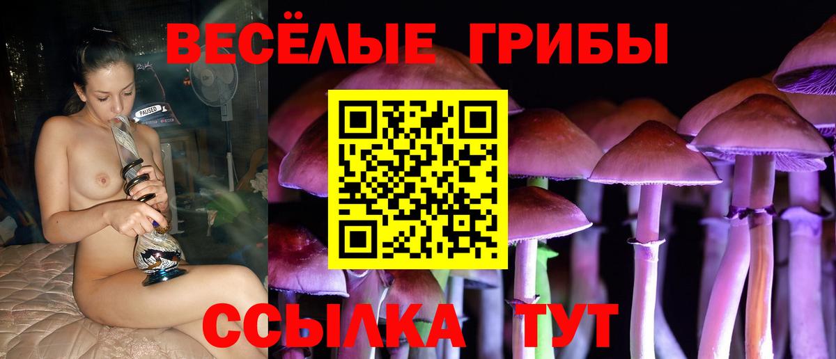 купить наркоту  Вход с VPN  Мирный  Галлюциногенные грибы ЛСД  Псилоцибиновые грибы ЛСД 