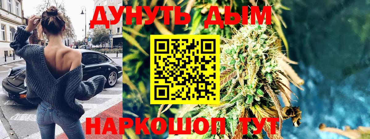 Канабис планчик Мирный